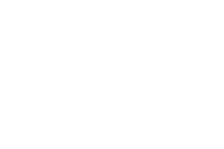 Klinger und Partner