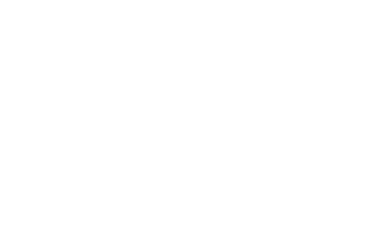 LY-Holding GmbH
