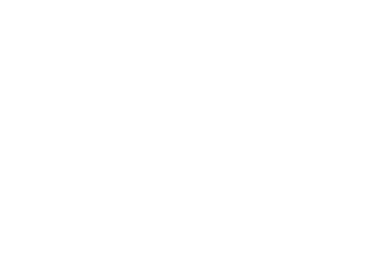 Stadt Michelstadt